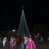 Tree of Light Dec 3, 2023