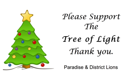 Tree of Light information card Tree of Light information card